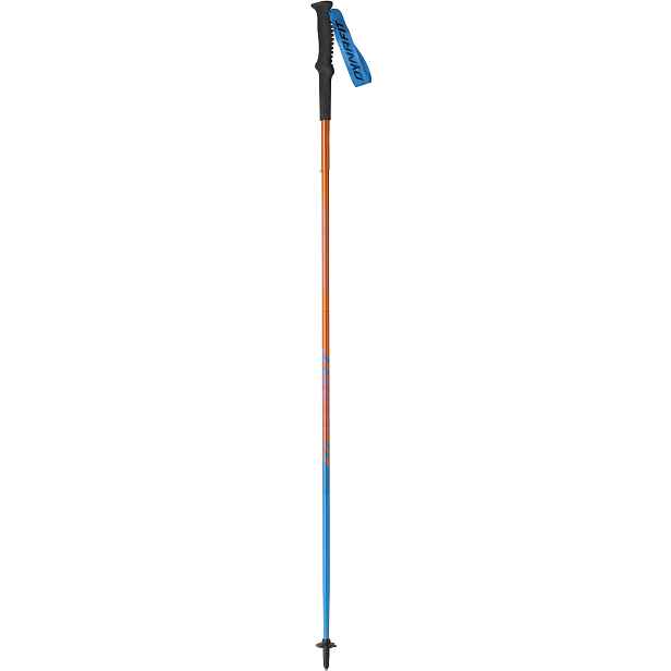 Hole Dynafit Vertical Pole generel lee Barva: , Délka: 115 cm