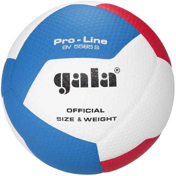 GALA BV5585 PRO-LINE 12 Volejbalový míč