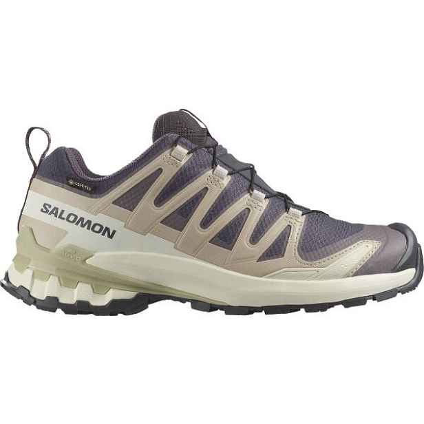 Salomon XA PRO 3D V9 GTX W Dámská obuv na trailový běh , 1/3