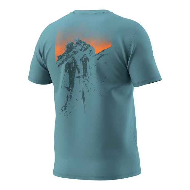 Pánské tričko Dynafit Back Graphic Cotton smoke Barva: Smoke , Velikost: