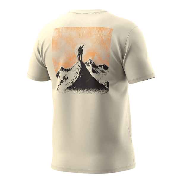 Pánské tričko Dynafit Back Graphic Cotton overcast Barva: Overcast, Velikost:
