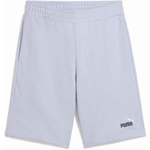 Puma ESSENTIALS 2 COLOR NO 1 LOGO SHORTS 10 Pánské teplákové kraťasy