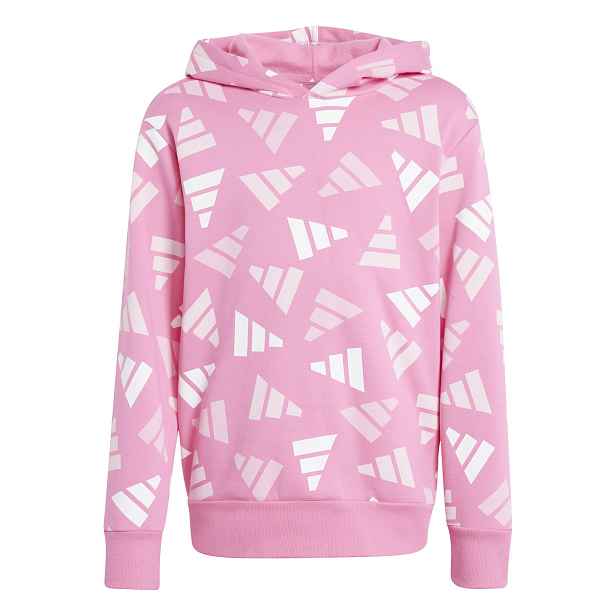 adidas Seasonal Essentials Logo Celebration Fleece Hoodie 152