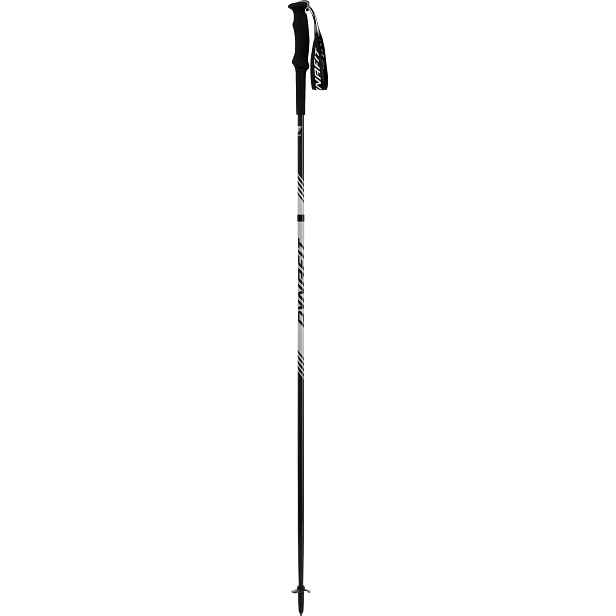 Hole Dynafit Alpine Pro Pole nimbus Barva: , Délka: 110 cm