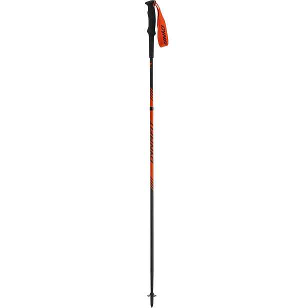 Hole Dynafit Alpine Pole dawn Barva: , Délka: 110 cm