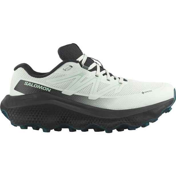 Salomon ULTRA FLOW 2 GTX W Dámská obuv na trailový běh , 1/3