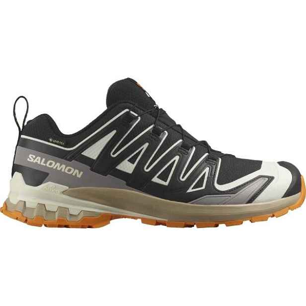 Salomon XA PRO 3D V9 GTX Pánská obuv na trailový běh