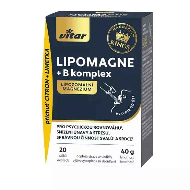 VITAR KINGS LIPOMAGNE + B KOMPLEX Minerální doplněk stravy