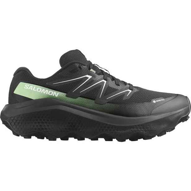 Salomon ULTRA FLOW 2 GTX Pánská obuv na trailový běh