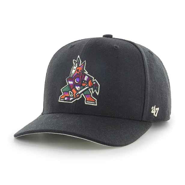 NHL Arizona Coyotes Cold Zone