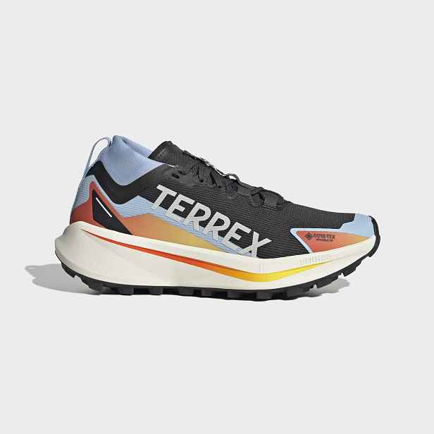 adidas W Terrex Agravic GTX 2/3