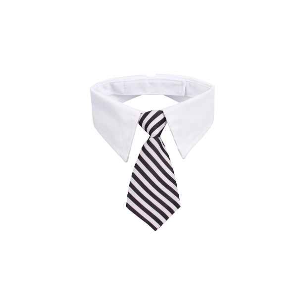 Gentledog kravata pro psy