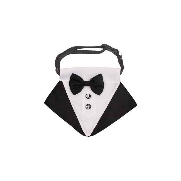 Formal motýlek pro psy