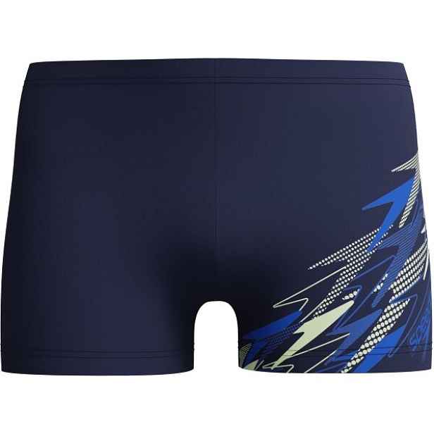 Speedo GALA LOGO ASHT AM Pánské plavky