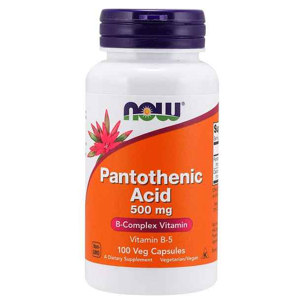 Now Foods Kyselina Pantothenová 500 mg