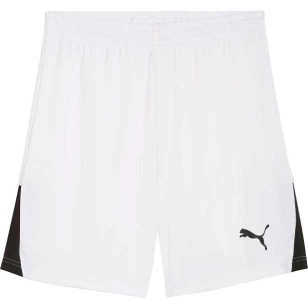 Puma TEAMLIGA 26 SHORTS Pánské sportovní trenky