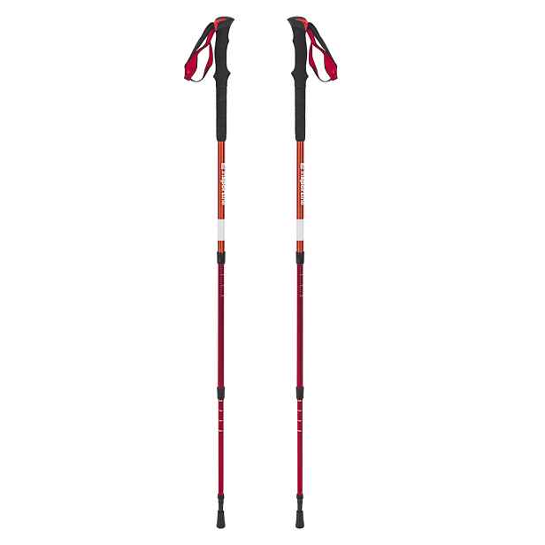Trekingové hole inSPORTline Altiplano 100 Pair
