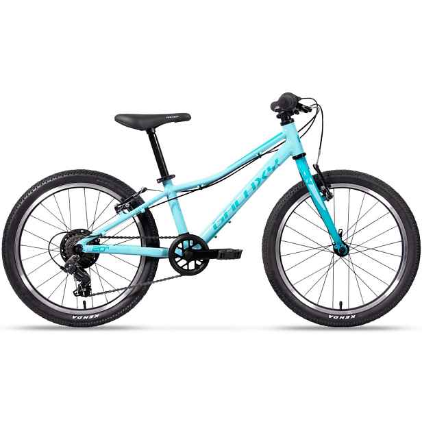 Odlehčené dětské kolo Galaxy Cetis 20" 10.0 • 113-135 cm • 8,8 kg 10" (113-135 cm)