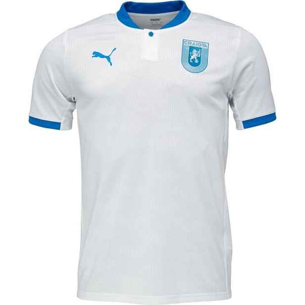 Puma ADULTS TEAM FINAL POLO JERSEY Pánský dres