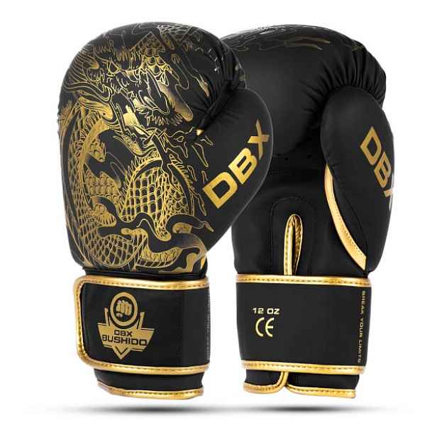 Boxerské rukavice DBX BUSHIDO Dragon