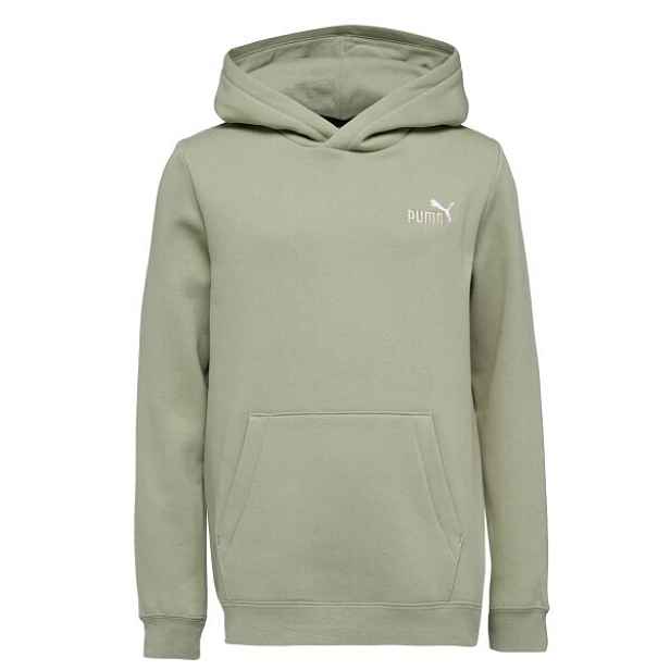 Puma ESSENTIALS 2 COL SMALL LOGO HOODIE FL B Chlapecká mikina