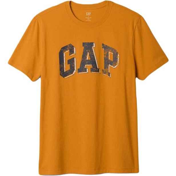 GAP V-EVERYDAY Pánské tričko