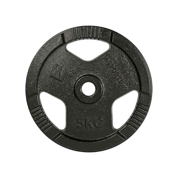 Litinový kotouč inSPORTline Hamerton 5 kg 30 mm