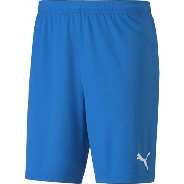Puma TEAM GOAL 23 KNIT SHORTS Pánské šortky