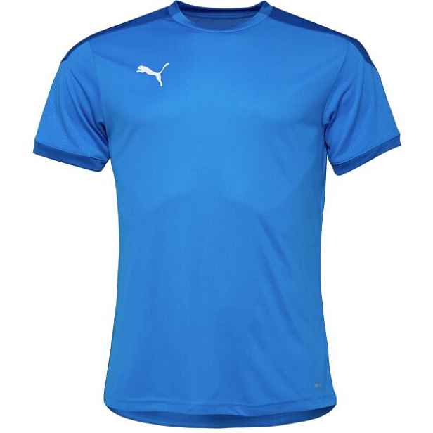 Puma TEAM FINAL 21 TRAINING JERSEY TEE Pánské triko
