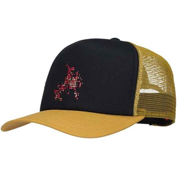 Vans SKATE FLAME TRUCKER Pánská kšiltovka