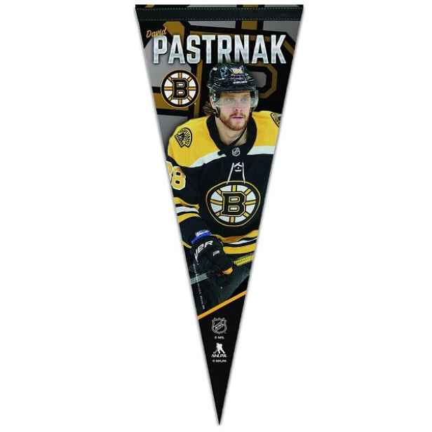 WinCraft PREMIUM PENNANT DAVID PASTRŇÁK Vlaječka