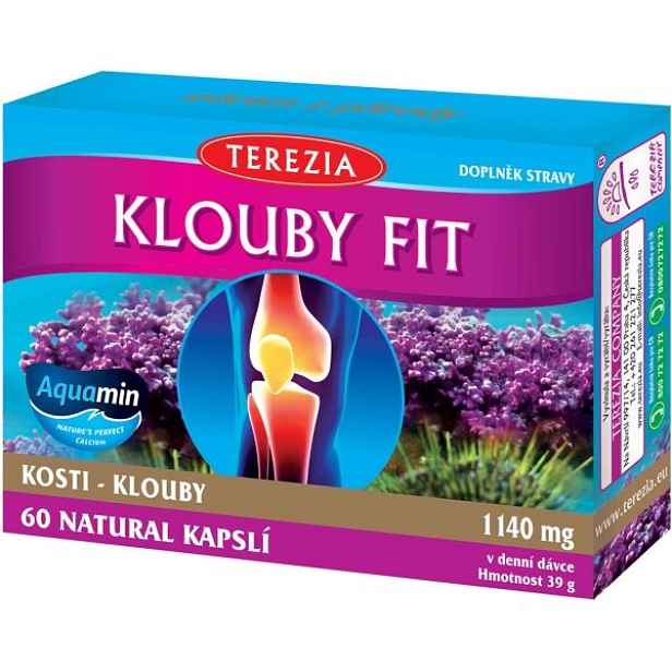 TEREZIA KLOUBY FIT 60 CAPS Kloubní výživa