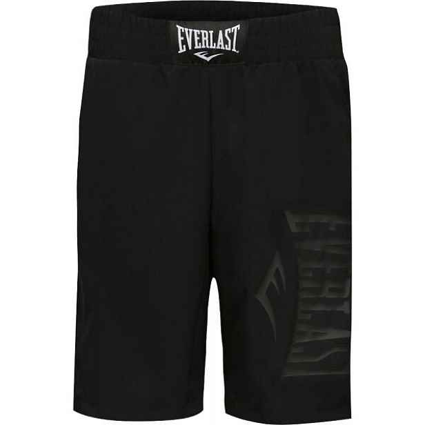 Everlast LAZULI 2 Pánské sportovní šortky