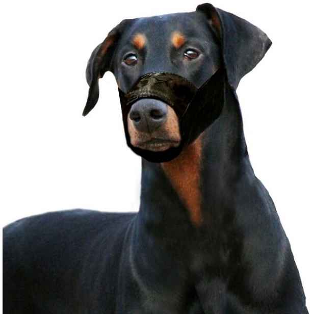 Karlie MUZZLE Náhubek