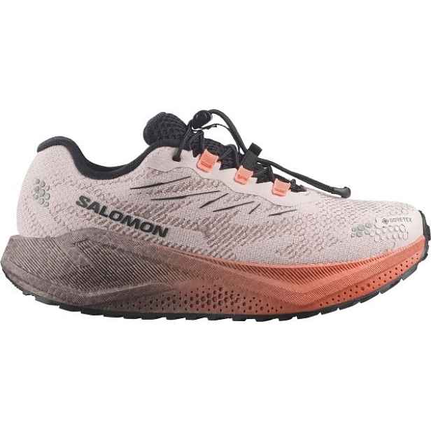 Salomon AERO BLAZE 4 GRAVEL GTX W Dámská běžecká obuv
