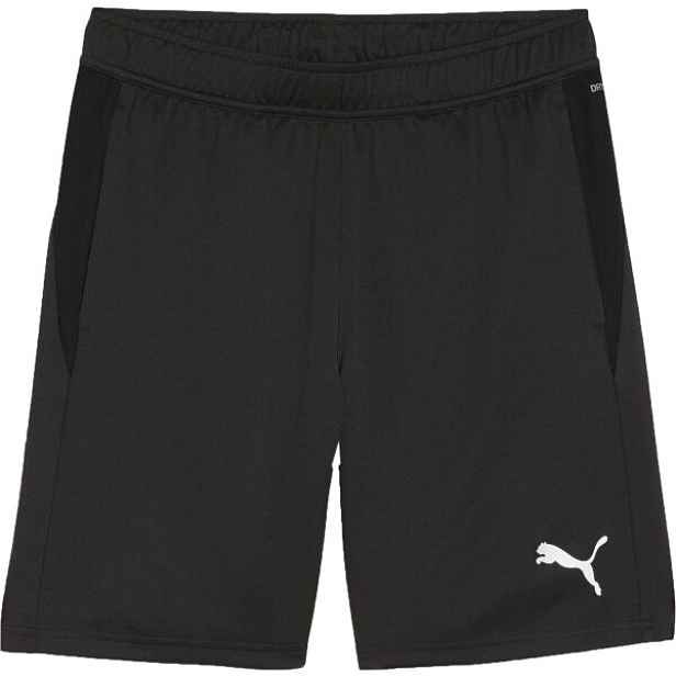 Puma TEAMGOAL TRAINING SHORT Pánské tréninkové trenky