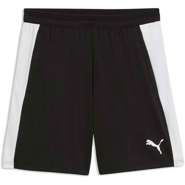 Puma TEAMFINAL26 TRAINING SHORTS Pánské sportovní kraťasy