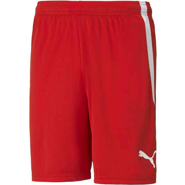 Puma TEAM LIGA SHORTS Pánské šortky