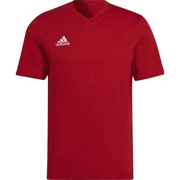 adidas ENTRADA 22 TEE Pánské triko