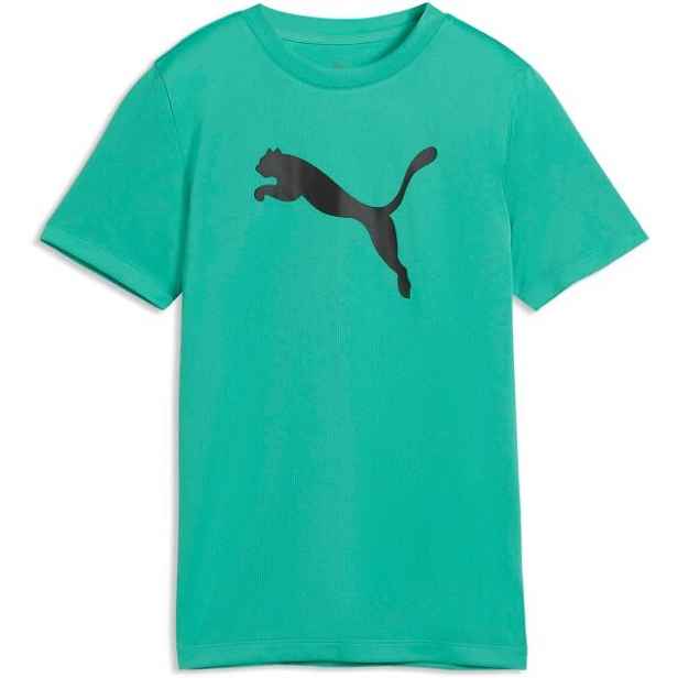 Puma TAD ESSENTIALS CAT LOGO TEE B Chlapecké sportovní triko