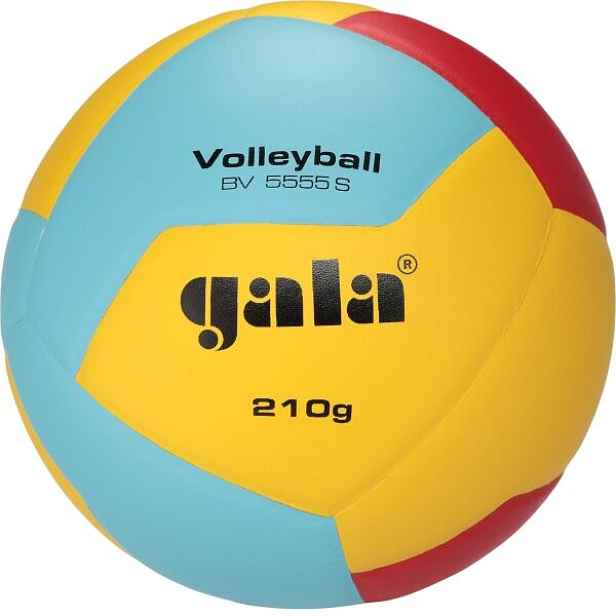 GALA BV5555 TRAINING Volejbalový míč