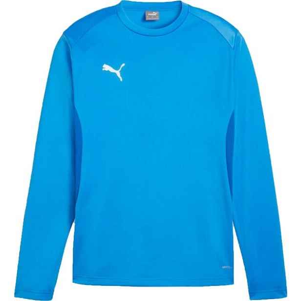 Puma TEAMGOAL TRAINING SWEAT Pánská sportovní mikina