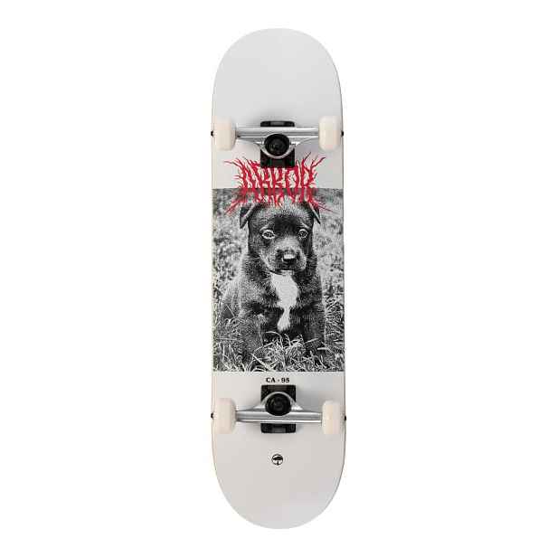 Arbor - Street Revert Puppy 8.25" - skateboard