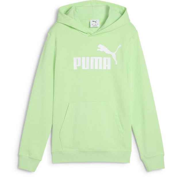 Puma ESSENTIALS NO. 1 LOGO HOODIE TR B Dětská mikina