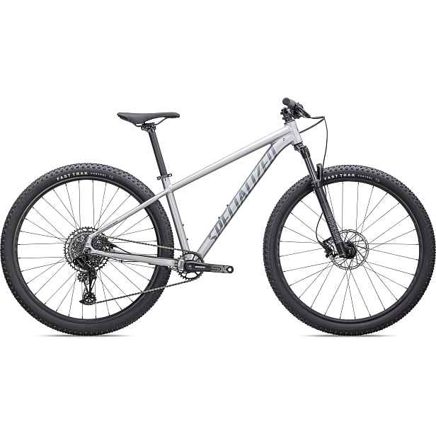 Specialized Rockhopper Expert 29 satin dust/ holographic foil Barva: , Velikost: