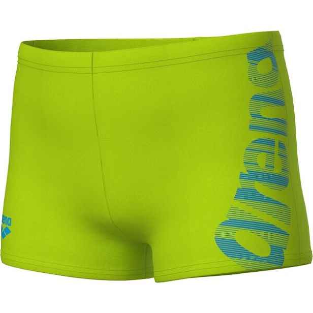 Arena BOY'S ARENA GRAPHIC SWIM SHORT Chlapecké plavky -11Y