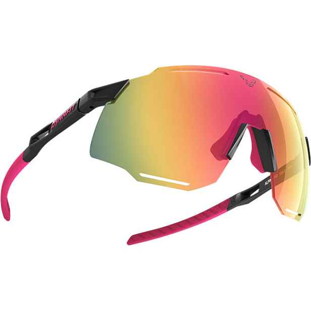 Brýle Dynafit Alpine Evo out/ glo Barva: , Velikost: UNI
