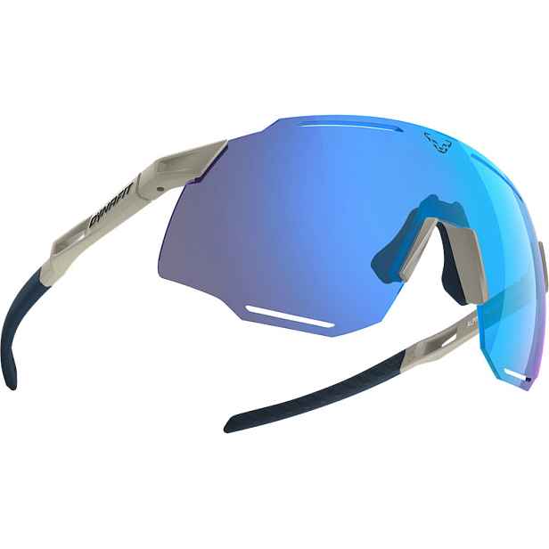 Brýle Dynafit Alpine Evo rock /blueberry Barva: , Velikost: UNI