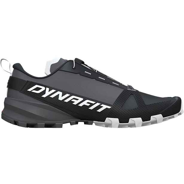 Běžecké boty Dynafit Traverse GTX magnet out Barva: , Velikost EU: