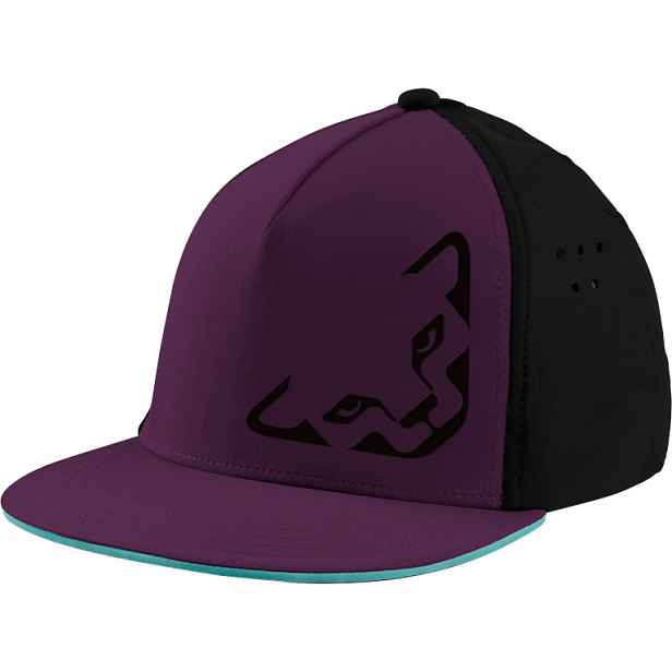 Kšiltovka Dynafit Tech Trucker Cap royal Barva: , Velikost: UNI